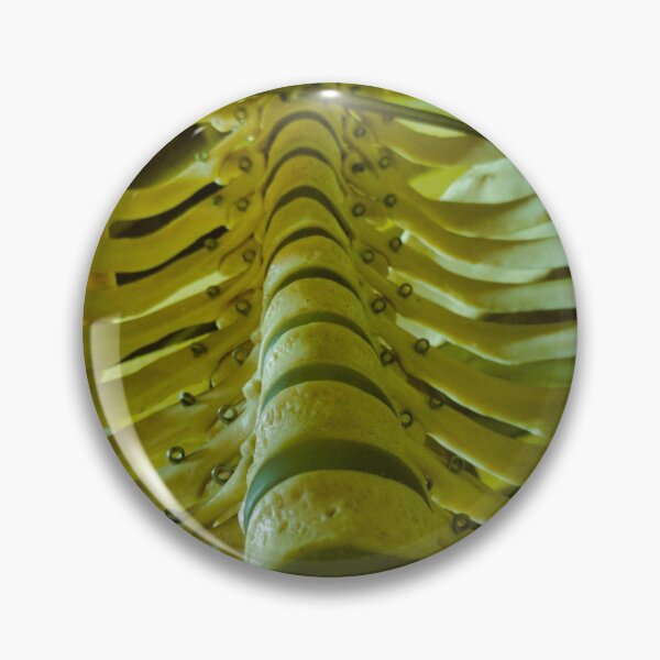 Item preview, Ribcage designed and sold by Akitsu.