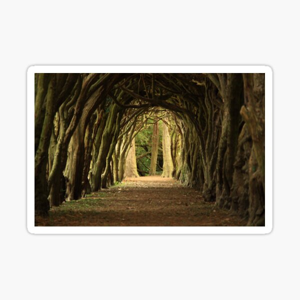 Cloister at Gormanston College Sticker