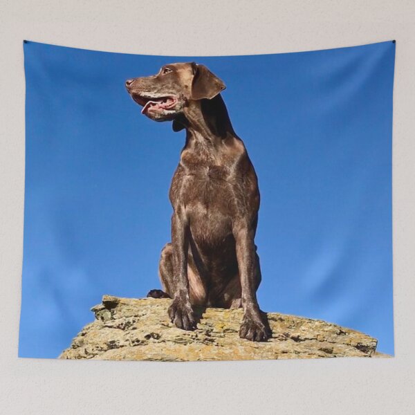 Item preview, Luna’s staycation at Cantick Head Lighthouse on the beautiful Orkney island of Hoy in Scotland  designed and sold by Alan Mackinnon.