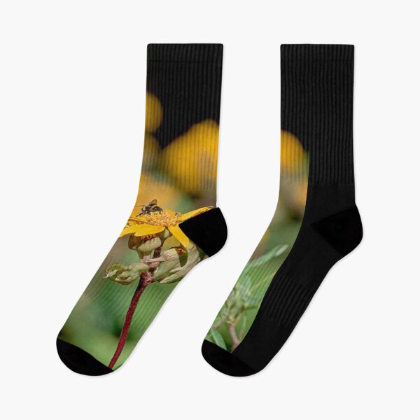 Artikelvorschau, Blume & Hummel entworfen und verkauft von WPahat.