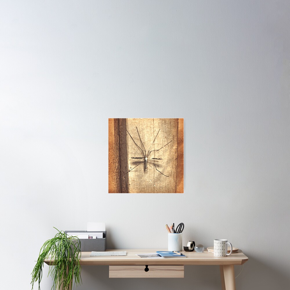 Item preview, Poster designed and sold by OneDayArt.