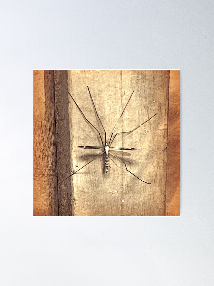 Thumbnail 2 of 3, Poster, Bug Lover Gift - Leggy Beauty - Crane Fly - Entomologist Birthday designed and sold by OneDayArt.