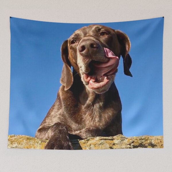 Item preview, Luna’s staycation at Cantick Head Lighthouse on the beautiful Orkney island of Hoy in Scotland designed and sold by Alan Mackinnon.