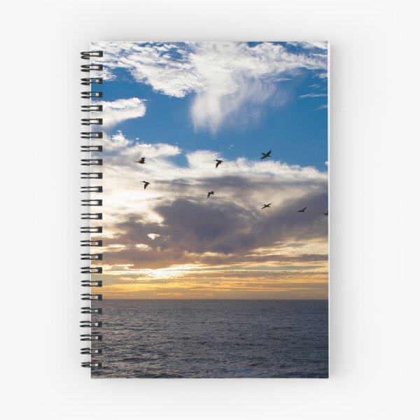 Item preview, Patrulla pelícano designed and sold by Stoneman.