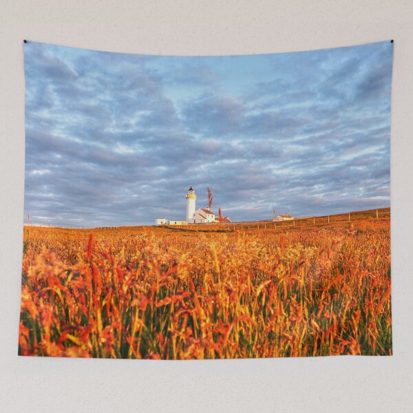 Item preview, Cantick Head Lighthouse  designed and sold by Alan Mackinnon.