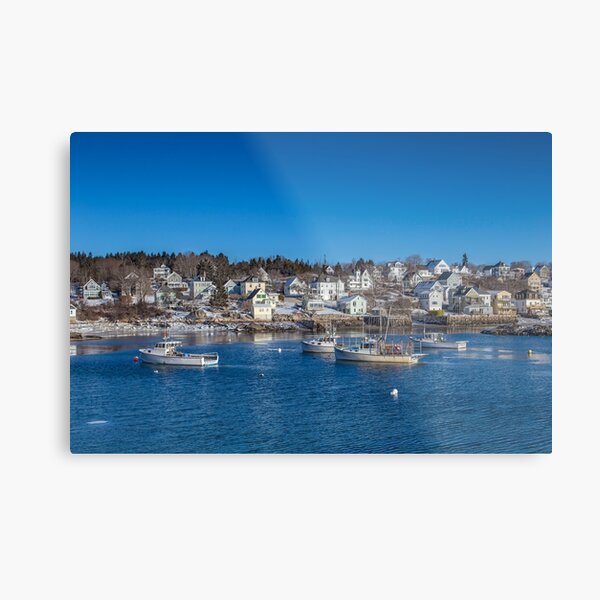 In The Morning Light Metal Print
