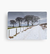 Snowy Track Metal Print