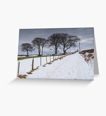 Snowy Track Greeting Card