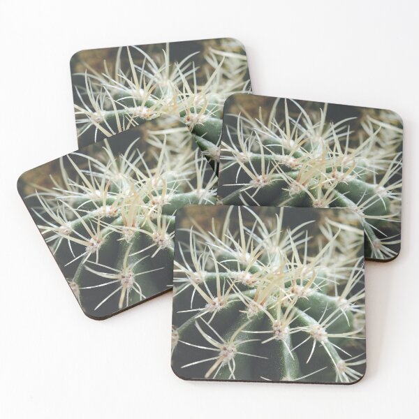 Item preview, Cactus designed and sold by anstey.