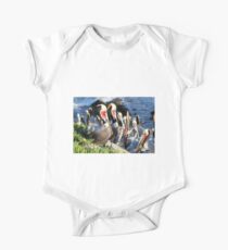 Pelican Group One Piece - Short Sleeve