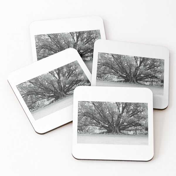Item preview, Roots and Boughs designed and sold by -laura-kay-.