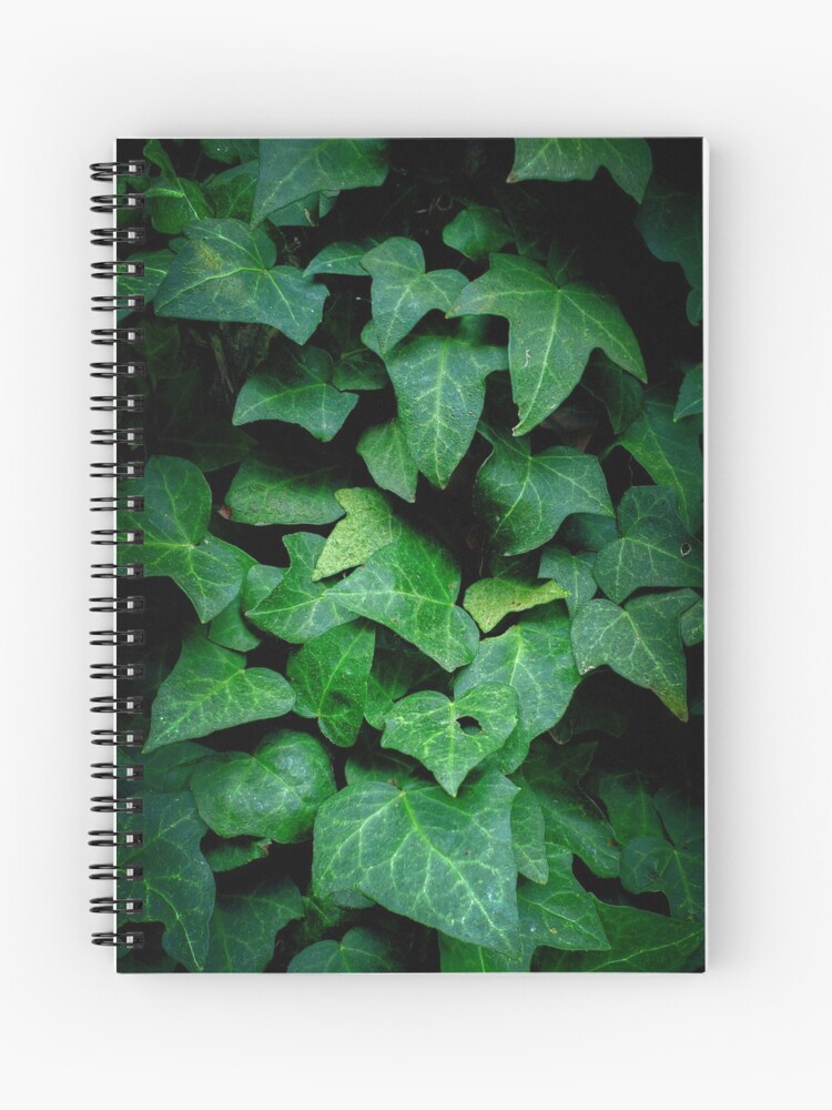 Cuaderno de espiral «Fondo de hojas verdes en la oscuridad» de  ErnestoMedina | Redbubble