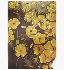 Oxalis Poster