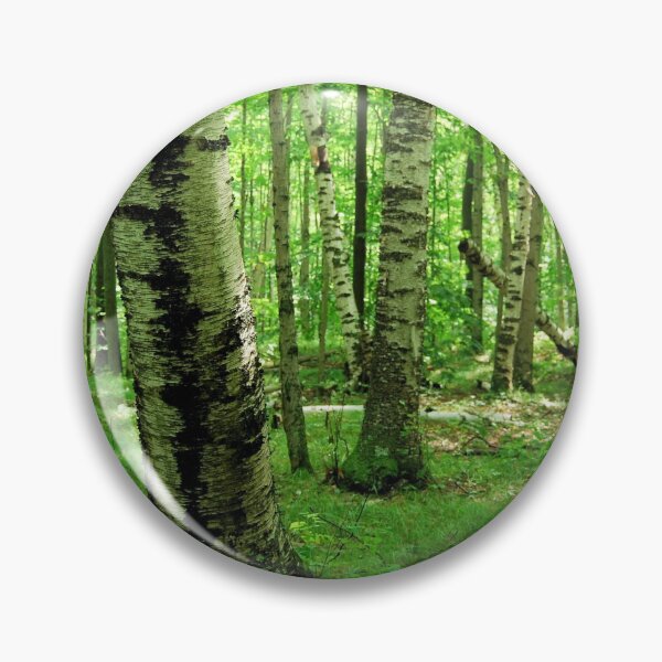 Item preview, Stand of Birch designed and sold by Kathleen Brant.