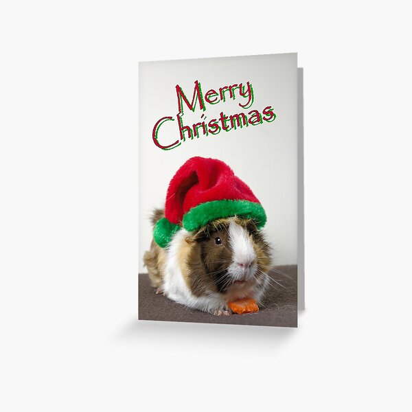 Pig Greeting Cards Redbubble - ninja guinea pig roblox