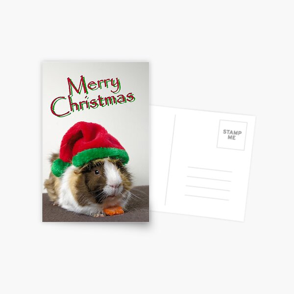 Guinea Pig Christmas Cards Keeping Toasty Pack of 10 Glitter Spot Fun Xmas Cards 