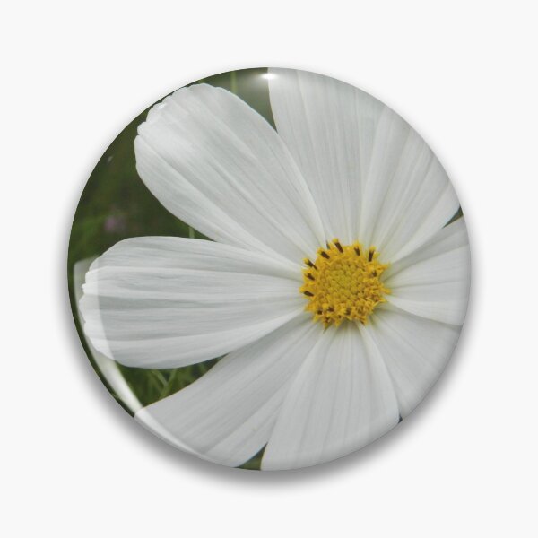 Item preview, White Cosmos designed and sold by Kathleen Brant.