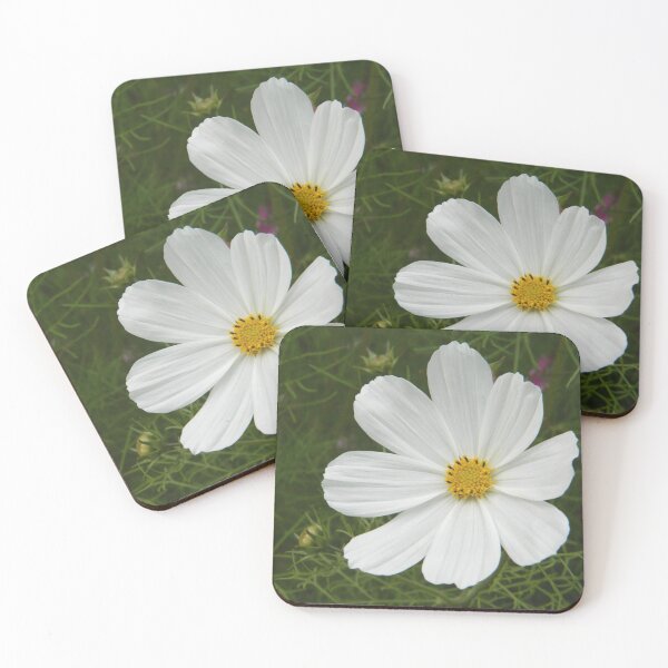 Item preview, White Cosmos designed and sold by Kathleen Brant.