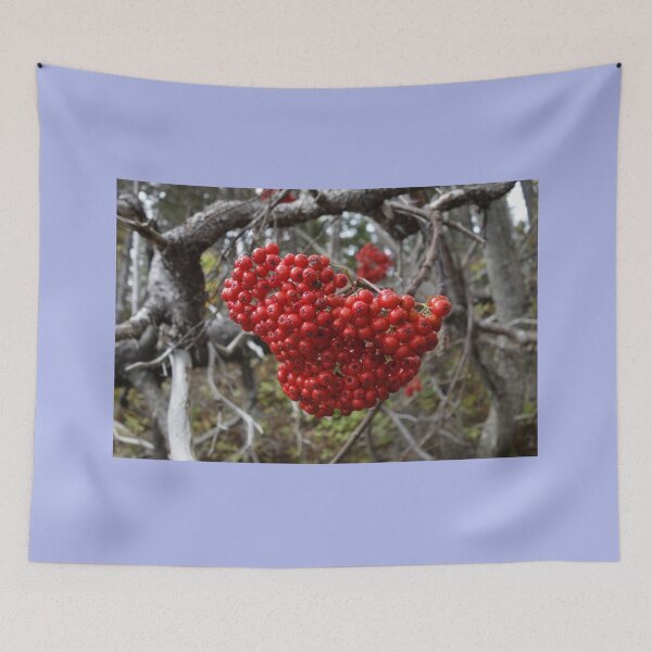 Item preview, Red Berries in the Forest  designed and sold by Stratus13.