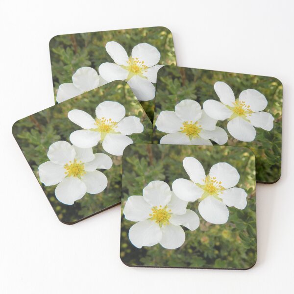 Item preview, Dainty White Flowers designed and sold by Kathleen Brant.