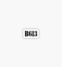 B613 Sticker