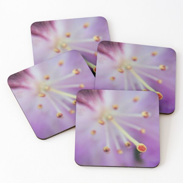 Item preview, Flower Macro 2 designed and sold by Charles Oliver Creations.