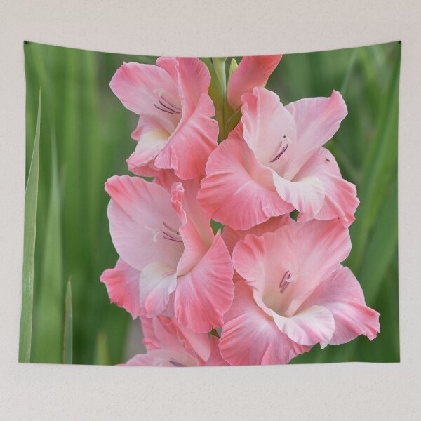 Item preview, Soft pink gladiolus designed and sold by IoanaHraball.