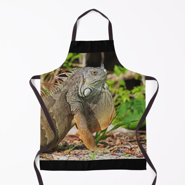 Item preview, Iguana on the Island designed and sold by Michiale.