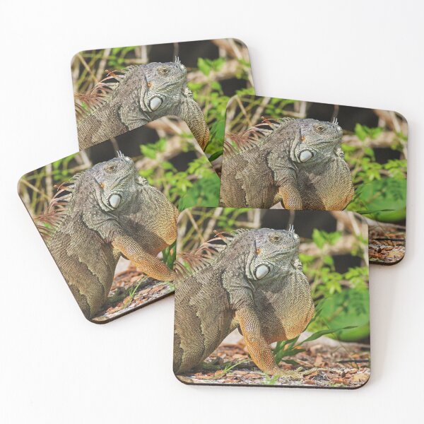 Item preview, Iguana on the Island designed and sold by Michiale.