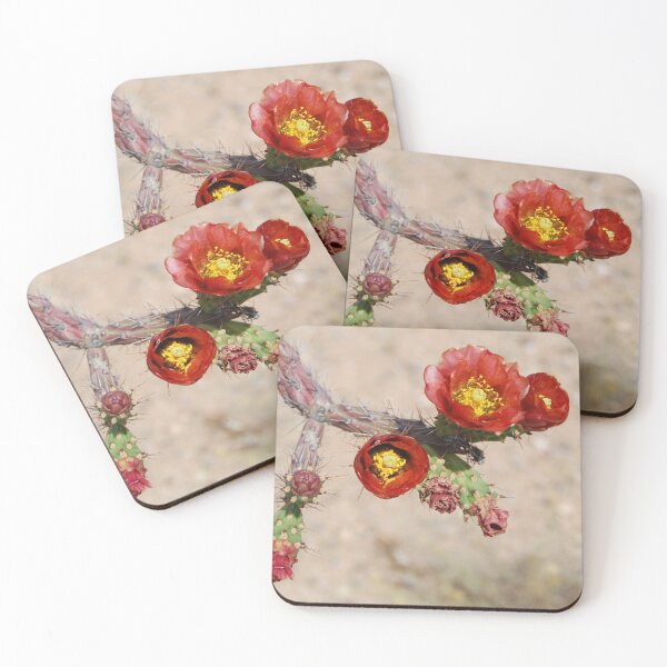 Item preview, Blooming Cactus designed and sold by Kathleen Brant.