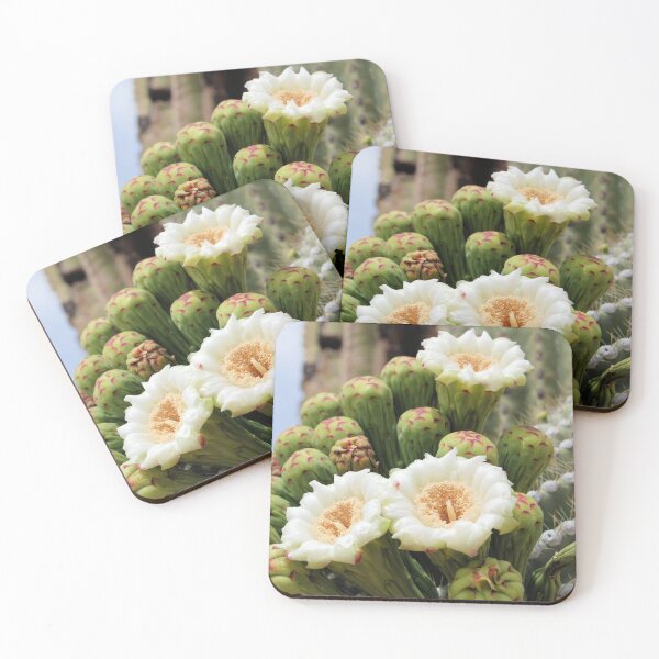 Item preview, Just Open Saguaro Flowers designed and sold by Kathleen Brant.