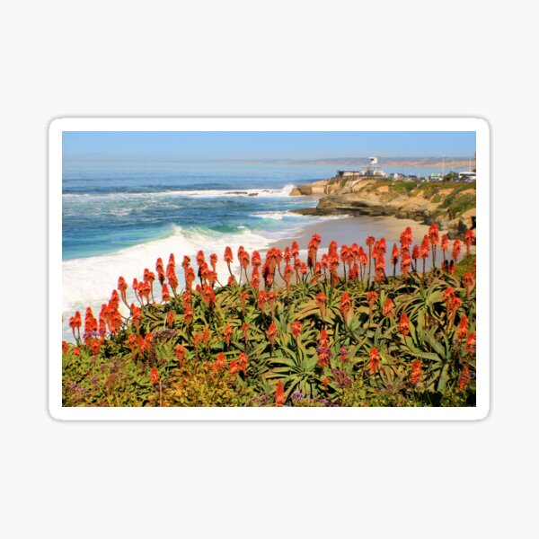 Item preview, La côte de La Jolla designed and sold by Jane Girardot.