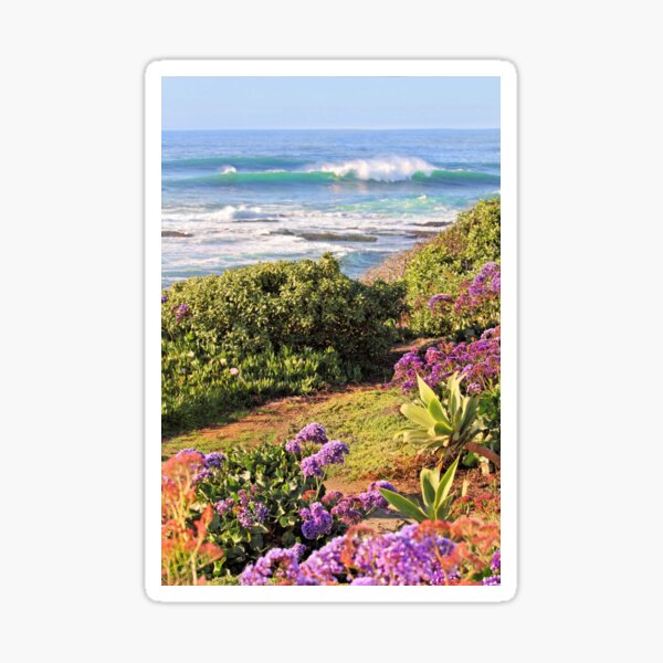 Aperçu de l'œuvre La côte de La Jolla créée et vendue par Jane Girardot.