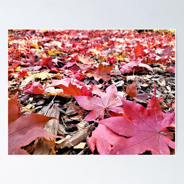 Item preview, Autumn's Glory designed and sold by ChatStroh.