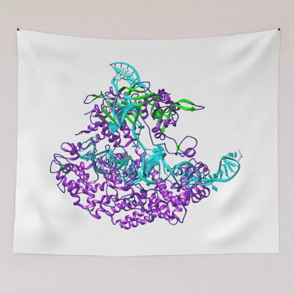 Item preview, CRISPR Cas9 Complex 3D Model designed and sold by MoLecULaR-biO.