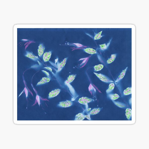 Cyanotype Sketch - Fuschia Sticker
