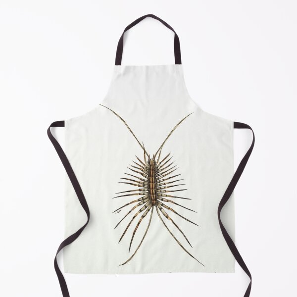 Item preview, Scutigera coleoptrata (house centipede) designed and sold by RamenHood.
