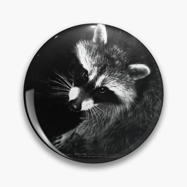 Item preview, Cute raccoons ... love raccoons designed and sold by Glineur.