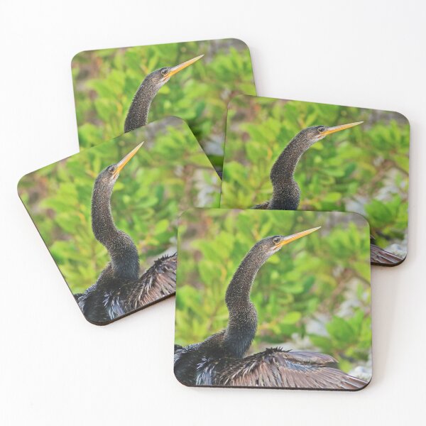 Item preview, An Anhinga's Meditation Secrets II designed and sold by Michiale.