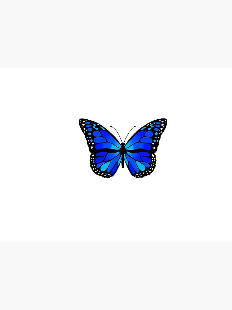 Download Enjoy the beauty of nature with this vibrant butterfly Wallpaper   Wallpaperscom