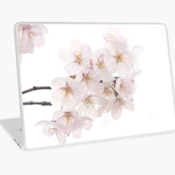 Beautiful White Sakura Cherry Blossoms in Spring Laptop Skin