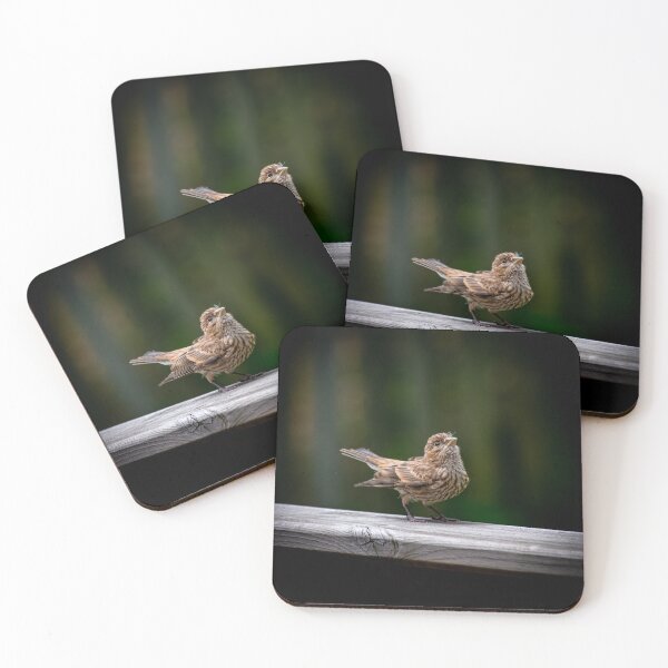 Item preview, Baby bird waiting to be fed designed and sold by wendy4496.