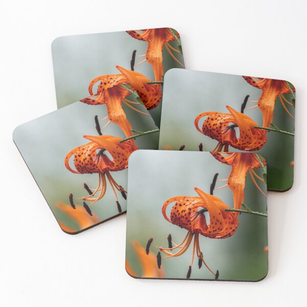 Item preview, Tiger Lily designed and sold by Michael Cummings.