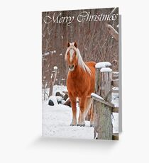 Horse Christmas Card 1 Greeting Card