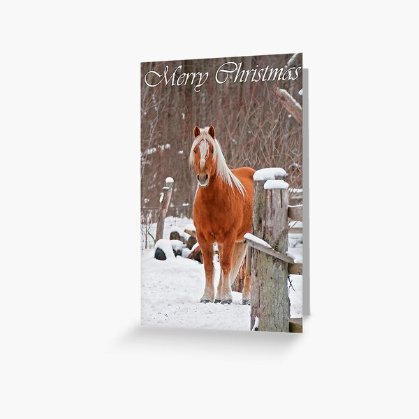 Horse Christmas Card 1 Greeting Card