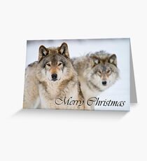 Timber Wolf Christmas Card 7 Greeting Card