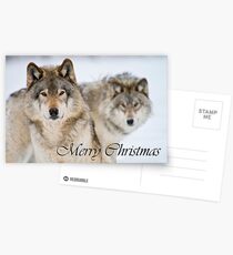 Timber Wolf Christmas Card 7 Postcards