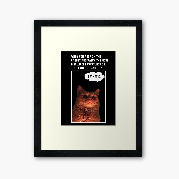 Cat Meme Pathetic Wall Art Redbubble