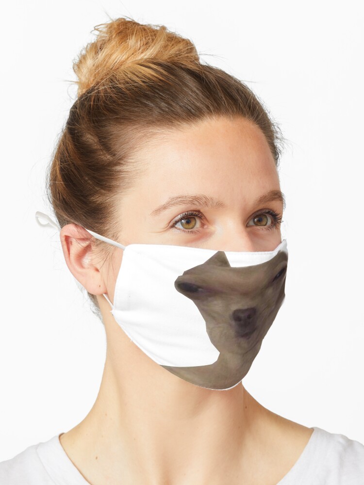 Mascarilla Meme De Perro Chihuahua Memes De Animales De M 1143 Redbubble