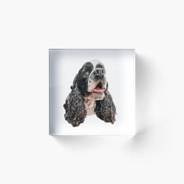 American Cocker Spaniel Acrylic Block